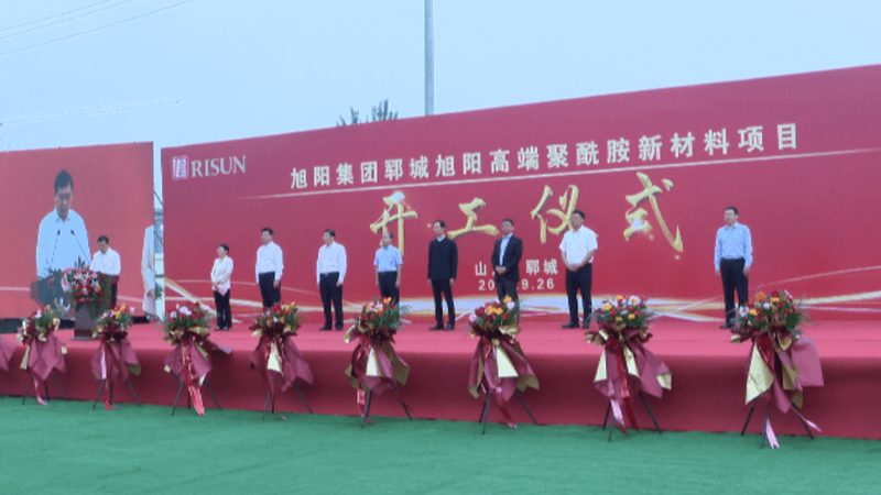 瓷砖胶粘剂C1与C2：揭秘其区别与应用