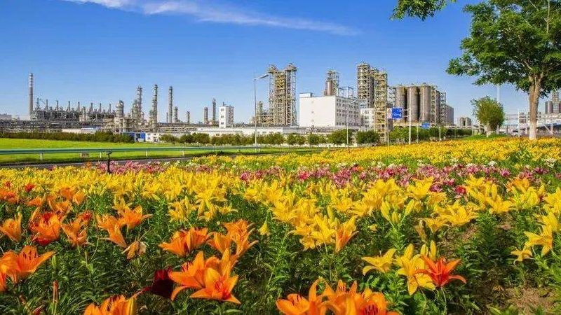 涂料工业添加剂：如何选择合适的厂家直销报价单