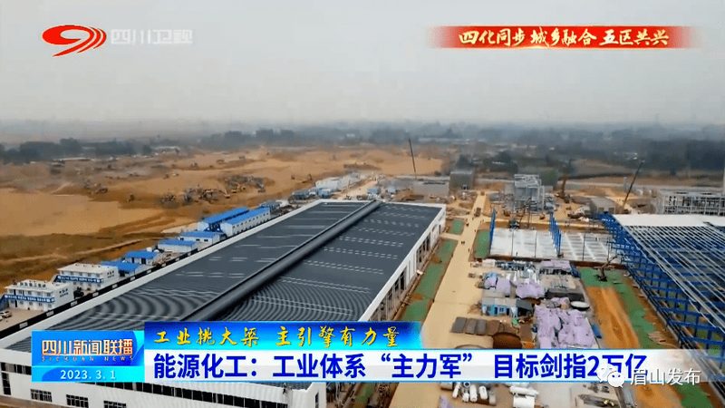 食品级防腐剂哪个牌子好